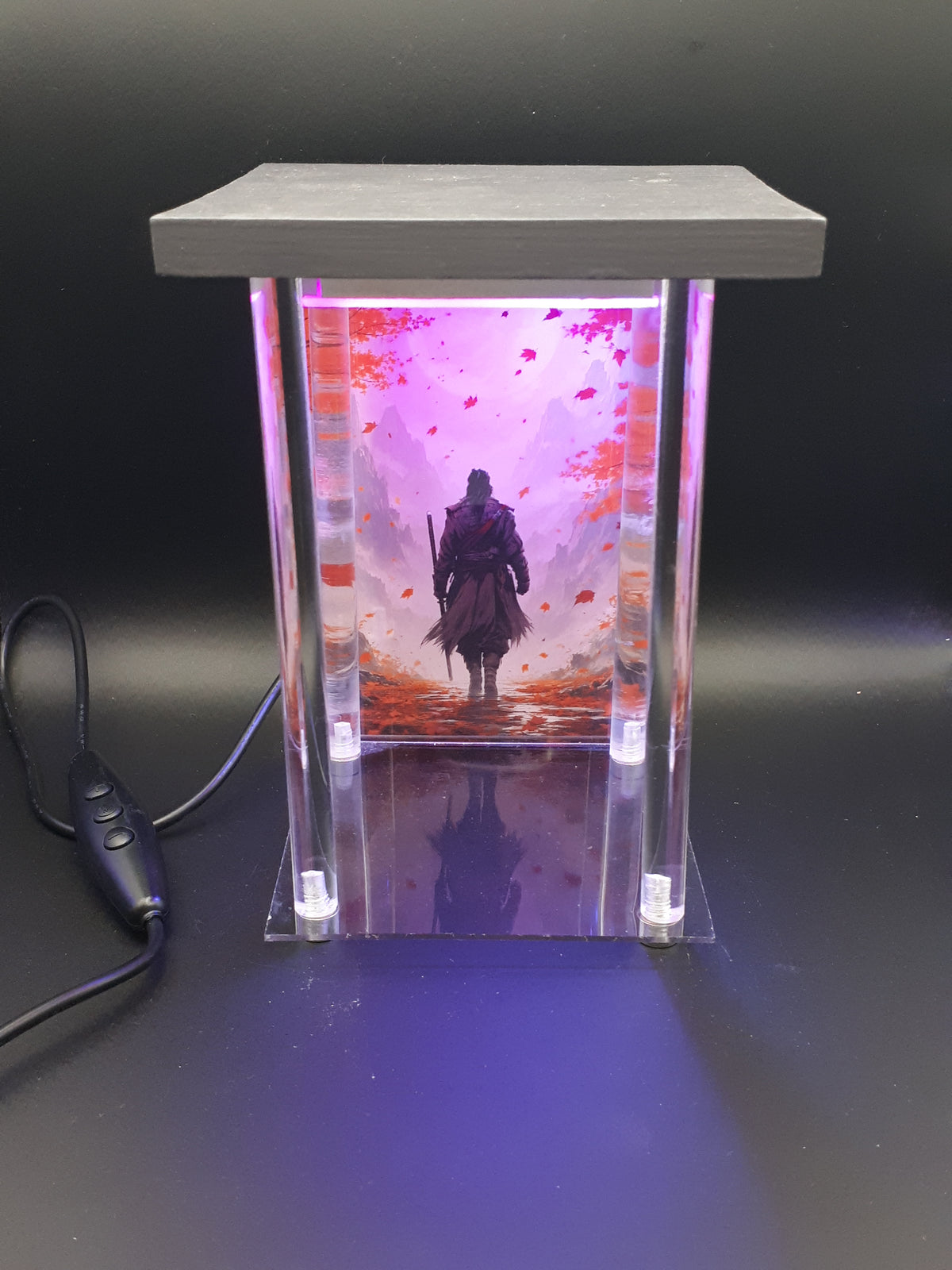ShinyGeeck – Lightbox LED pour Figurines |Éclairage Setup Gaming & Déco Geek
